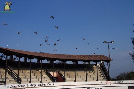 Santa María Magdalena Cahuacán