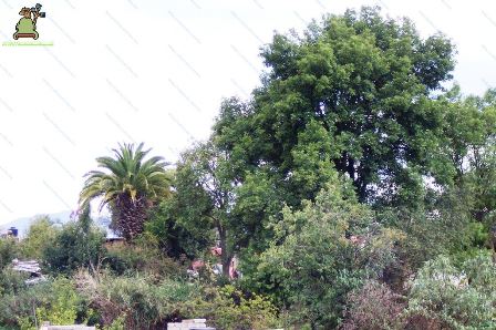 Santa María Magdalena Cahuacán