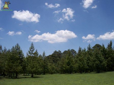Santa María Magdalena Cahuacán