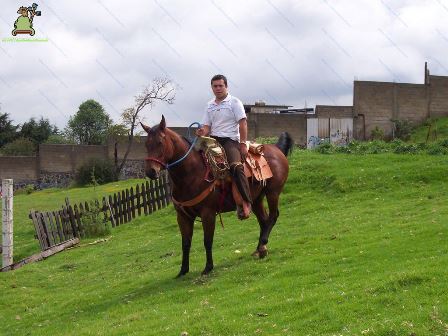 Santa María Magdalena Cahuacán