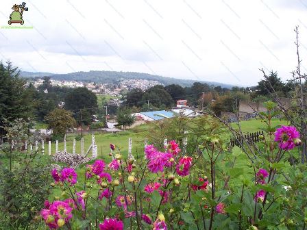 Santa María Magdalena Cahuacán
