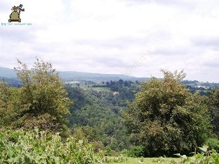 Santa María Magdalena Cahuacán