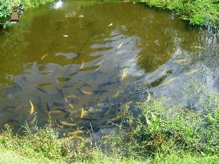 Santa María Magdalena Cahuacán