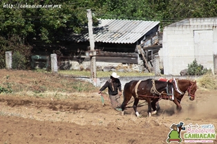 Santa María Magdalena Cahuacán