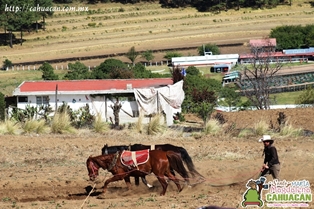 Santa María Magdalena Cahuacán