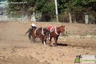 Santa María Magdalena Cahuacán