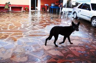 Santa María Magdalena Cahuacán